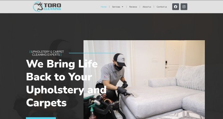 Site Toro Cleaning