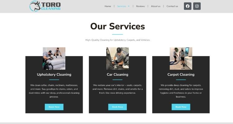 Site Toro Cleaning