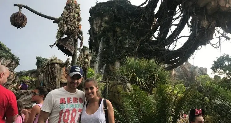 Animal Kingdom